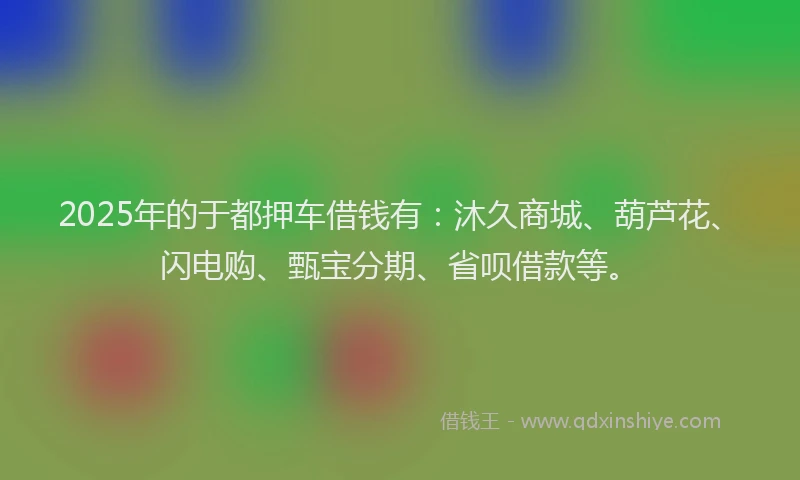 2025年的于都押车借钱有：沐久商城、葫芦花、闪电购、甄宝分期、省呗借款等。