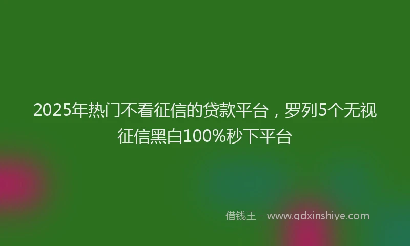 2025年热门不看征信的贷款平台，罗列5个无视征信黑白100%秒下平台