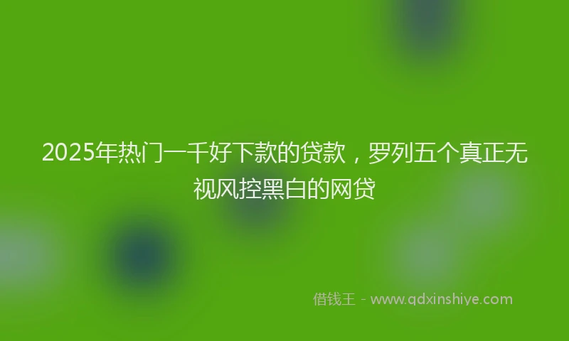 2025年热门一千好下款的贷款，罗列五个真正无视风控黑白的网贷