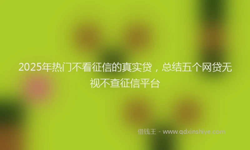 2025年热门不看征信的真实贷，总结五个网贷无视不查征信平台