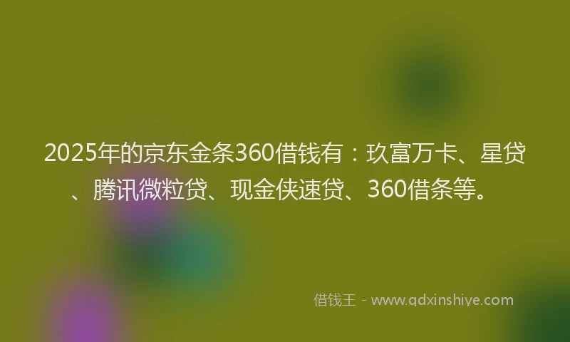 2025年的京东金条360借钱有：玖富万卡、星贷、腾讯微粒贷、现金侠速贷、360借条等。