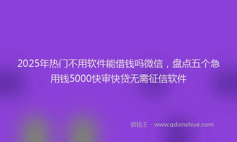 2025年热门不用软件能借钱吗微信，盘点五个急用钱5000快审快贷无需征信软件