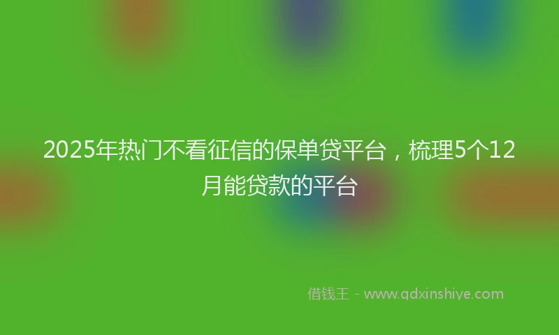 2025年热门不看征信的保单贷平台，梳理5个12月能贷款的平台