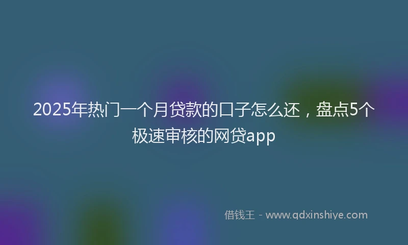 2025年热门一个月贷款的口子怎么还，盘点5个极速审核的网贷app