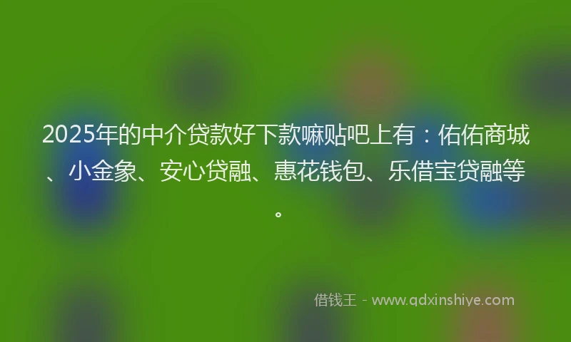 2025年的中介贷款好下款嘛贴吧上有：佑佑商城、小金象、安心贷融、惠花钱包、乐借宝贷融等。