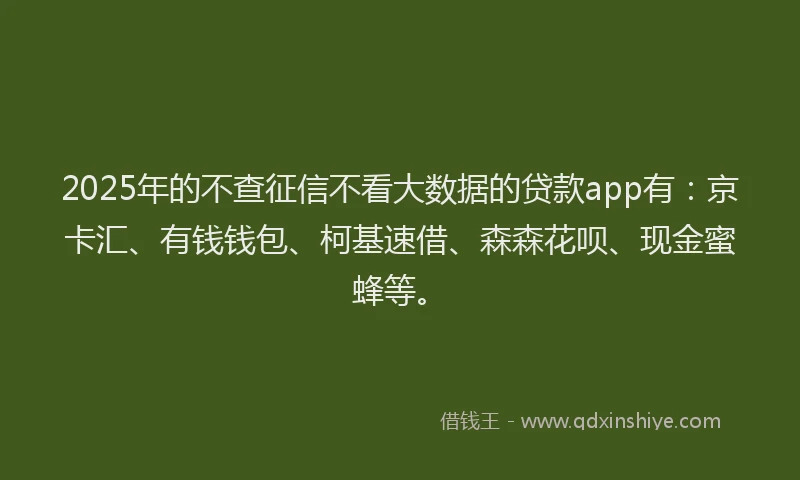 2025年的不查征信不看大数据的贷款app有:京卡汇、有钱钱包、柯基速借、森森花呗、现金蜜蜂等。