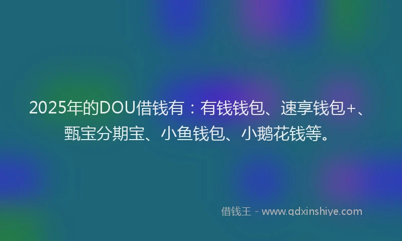 2025年的DOU借钱有：有钱钱包、速享钱包+、甄宝分期宝、小鱼钱包、小鹅花钱等。