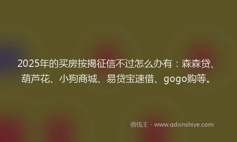 2025年的买房按揭征信不过怎么办有：森森贷、葫芦花、小狗商城、易贷宝速借、gogo购等。