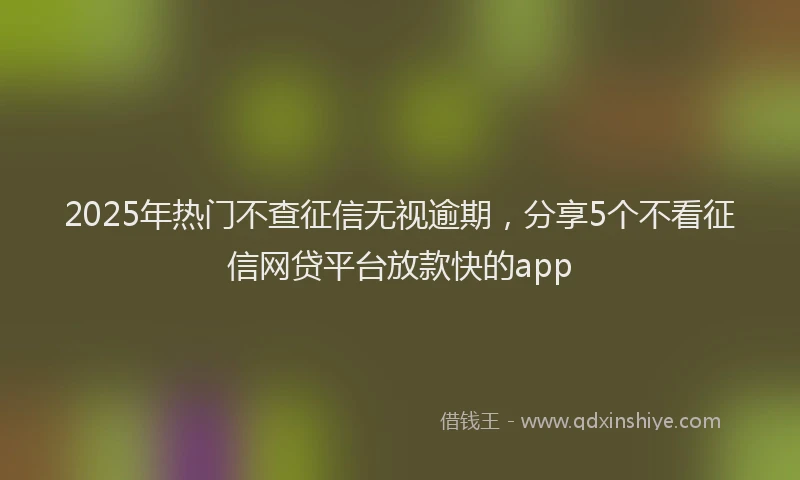 2025年热门不查征信无视逾期，分享5个不看征信网贷平台放款快的app