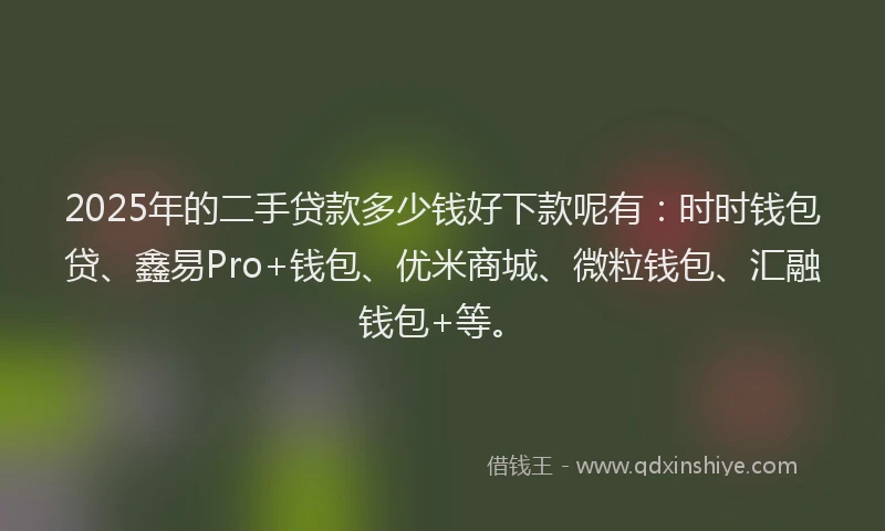 2025年的二手贷款多少钱好下款呢有：时时钱包贷、鑫易Pro+钱包、优米商城、微粒钱包、汇融钱包+等。