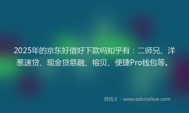 2025年的京东好借好下款吗知乎有：二师兄、洋葱速贷、现金贷易融、榕贝、便捷Pro钱包等。