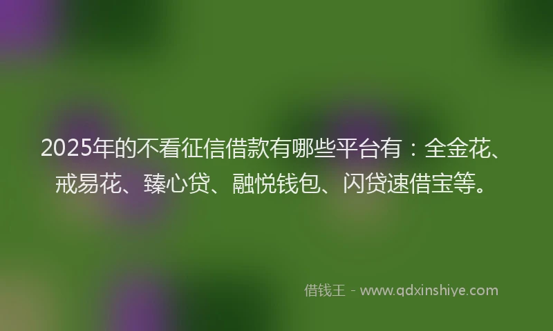2025年的不看征信借款有哪些平台有：全金花、戒易花、臻心贷、融悦钱包、闪贷速借宝等。