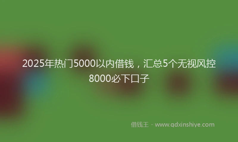 2025年热门5000以内借钱，汇总5个无视风控8000必下口子