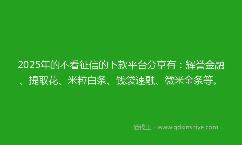2025年的不看征信的下款平台分享有：辉誉金融、提取花、米粒白条、钱袋速融、微米金条等。