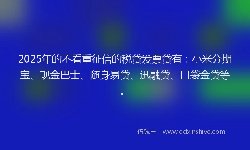 2025年的不看重征信的税贷发票贷有：小米分期宝、现金巴士、随身易贷、迅融贷、口袋金贷等。