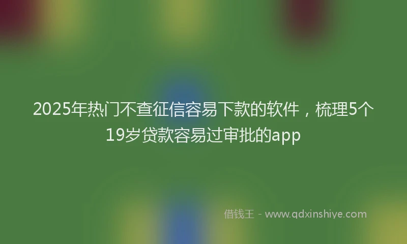 2025年热门不查征信容易下款的软件，梳理5个19岁贷款容易过审批的app