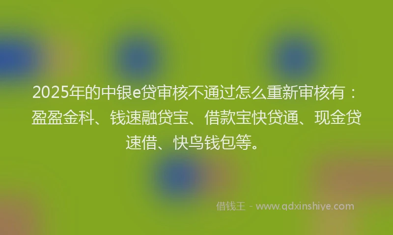 2025年的中银e贷审核不通过怎么重新审核有：盈盈金科、钱速融贷宝、借款宝快贷通、现金贷速借、快鸟钱包等。
