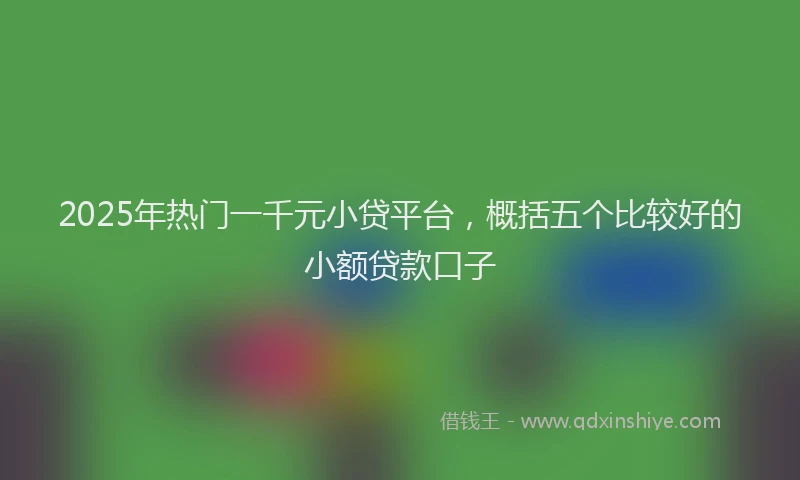2025年热门一千元小贷平台，概括五个比较好的小额贷款口子