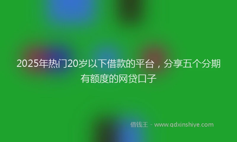 2025年热门20岁以下借款的平台，分享五个分期有额度的网贷口子