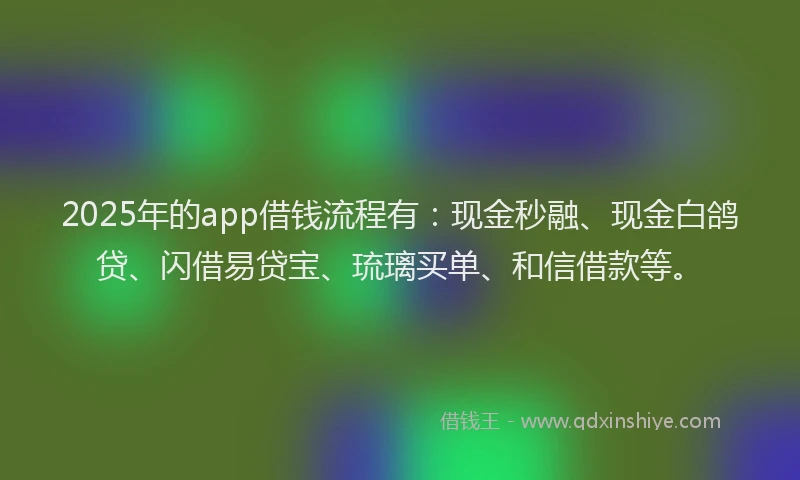2025年的app借钱流程有：现金秒融、现金白鸽贷、闪借易贷宝、琉璃买单、和信借款等。