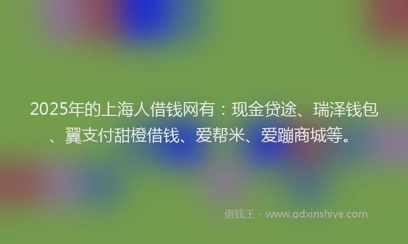 2025年的上海人借钱网有：现金贷途、瑞泽钱包、翼支付甜橙借钱、爱帮米、爱蹦商城等。