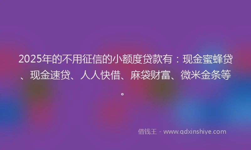 2025年的不用征信的小额度贷款有：现金蜜蜂贷、现金速贷、人人快借、麻袋财富、微米金条等。