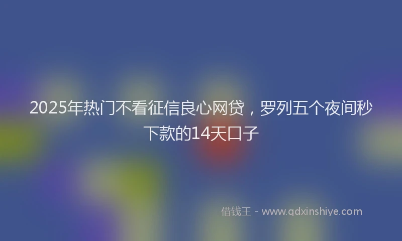 2025年热门不看征信良心网贷，罗列五个夜间秒下款的14天口子