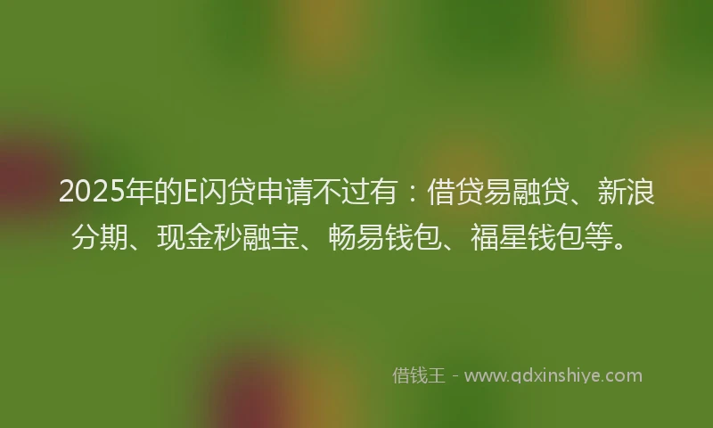 2025年的E闪贷申请不过有：借贷易融贷、新浪分期、现金秒融宝、畅易钱包、福星钱包等。