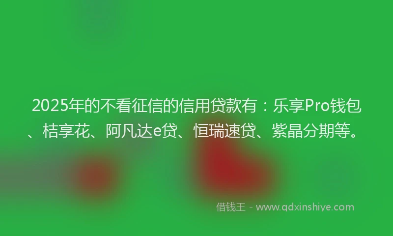 2025年的不看征信的信用贷款有：乐享Pro钱包、桔享花、阿凡达e贷、恒瑞速贷、紫晶分期等。