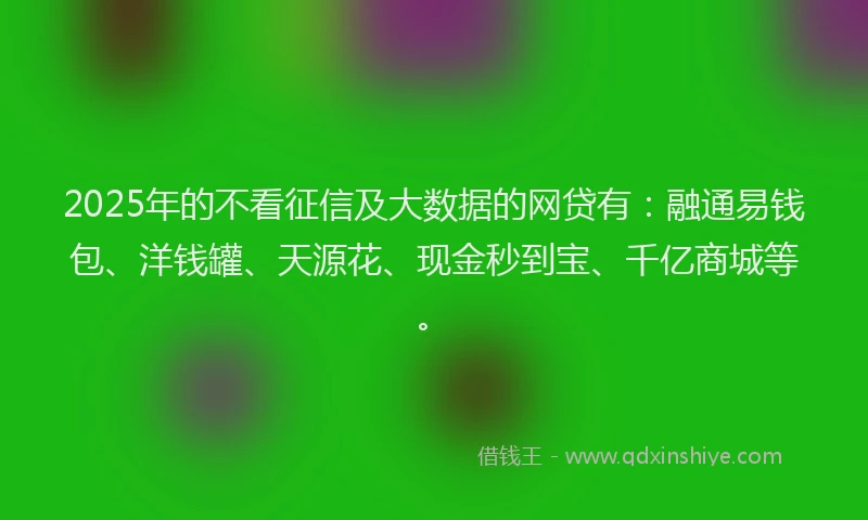 2025年的不看征信及大数据的网贷有：融通易钱包、洋钱罐、天源花、现金秒到宝、千亿商城等。