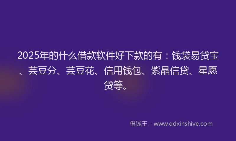 2025年的什么借款软件好下款的有：钱袋易贷宝、芸豆分、芸豆花、信用钱包、紫晶信贷、星愿贷等。