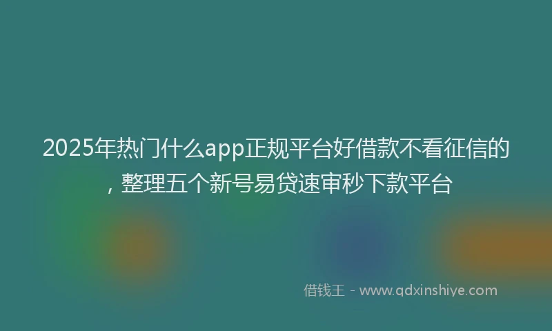 2025年热门什么app正规平台好借款不看征信的，整理五个新号易贷速审秒下款平台