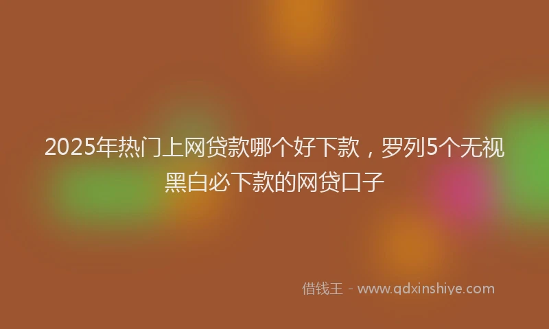 2025年热门上网贷款哪个好下款，罗列5个无视黑白必下款的网贷口子