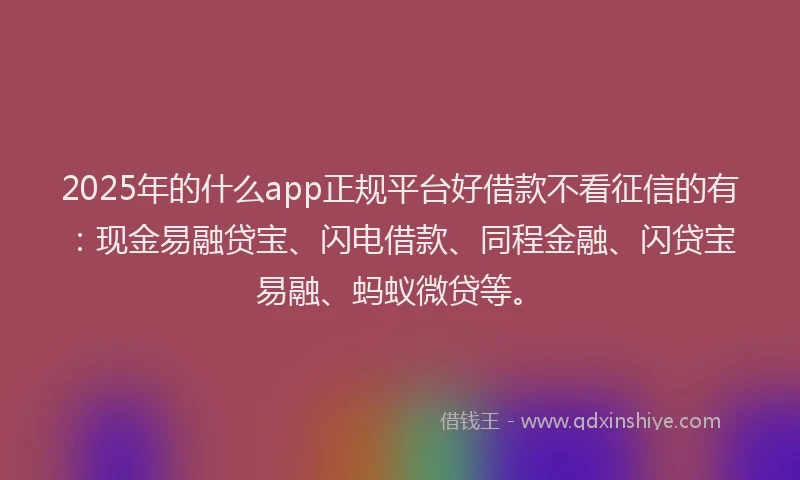 2025年的什么app正规平台好借款不看征信的有：现金易融贷宝、闪电借款、同程金融、闪贷宝易融、蚂蚁微贷等。