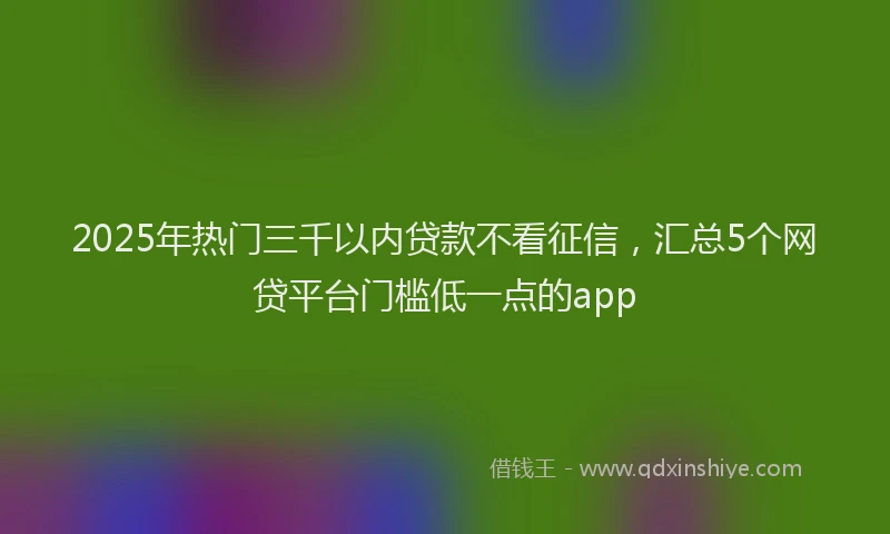 2025年热门三千以内贷款不看征信，汇总5个网贷平台门槛低一点的app