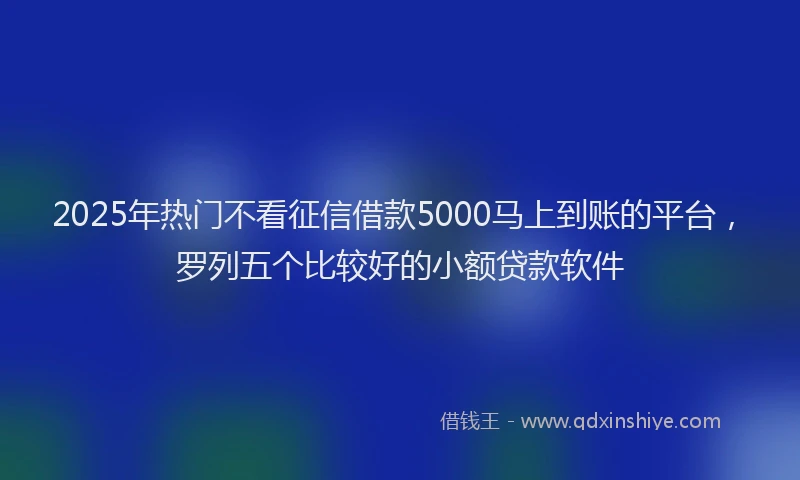 2025年热门不看征信借款5000马上到账的平台，罗列五个比较好的小额贷款软件