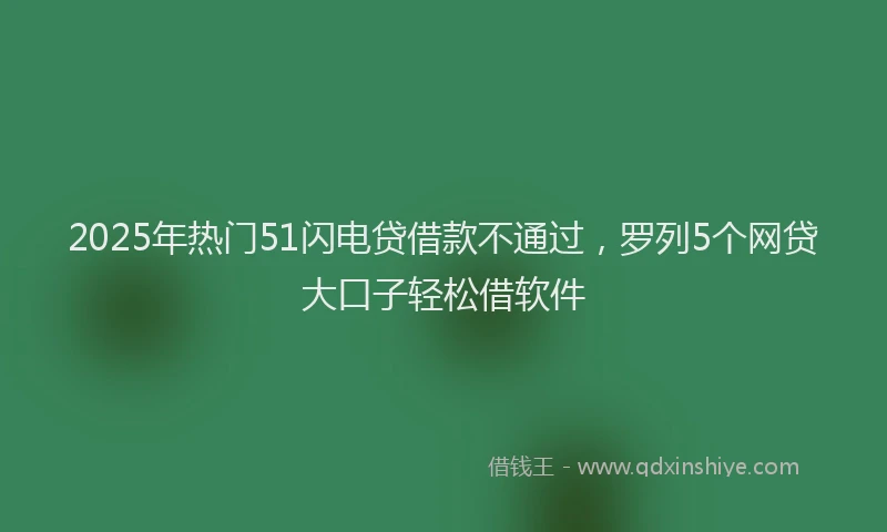 2025年热门51闪电贷借款不通过，罗列5个网贷大口子轻松借软件
