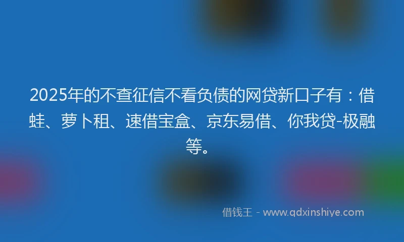 2025年的不查征信不看负债的网贷新口子有：借蛙、萝卜租、速借宝盒、京东易借、你我贷-极融等。