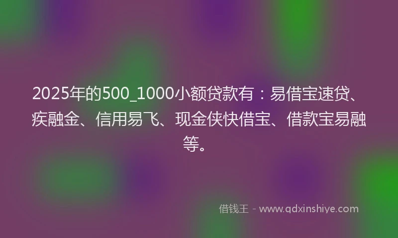 2025年的500_1000小额贷款有：易借宝速贷、疾融金、信用易飞、现金侠快借宝、借款宝易融等。