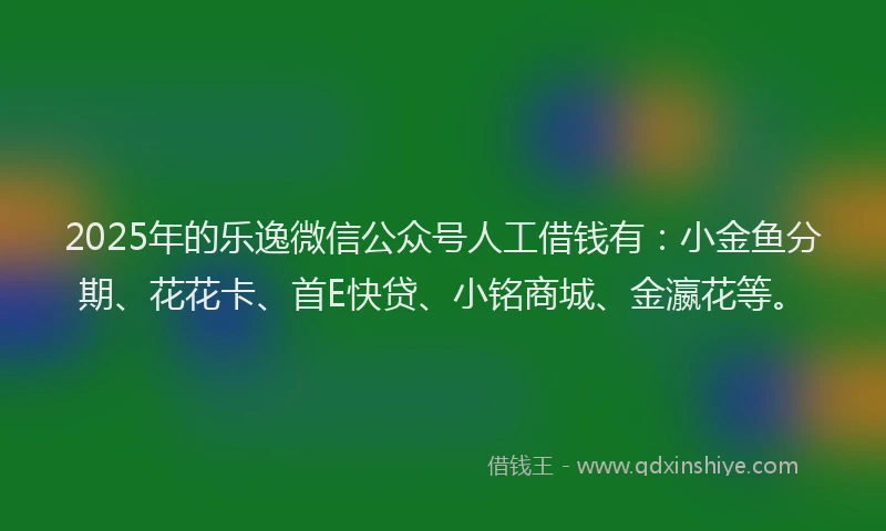 2025年的乐逸微信公众号人工借钱有：小金鱼分期、花花卡、首E快贷、小铭商城、金瀛花等。