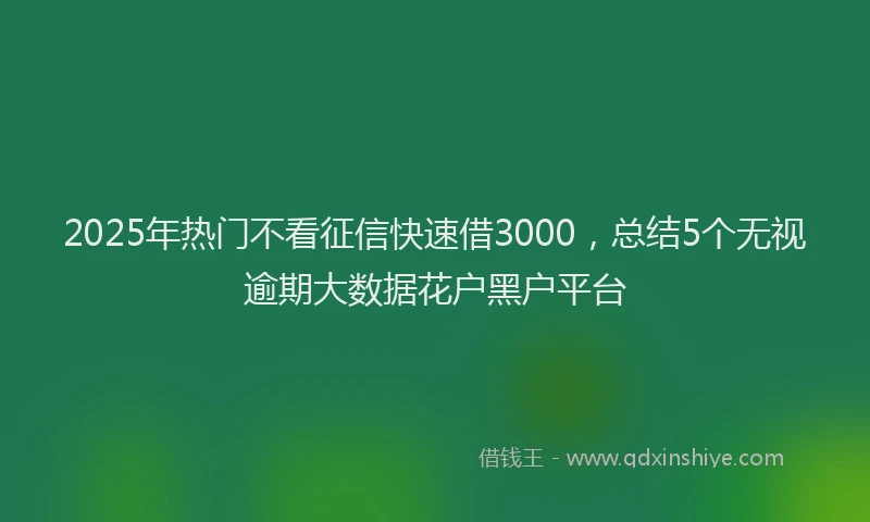 2025年热门不看征信快速借3000，总结5个无视逾期大数据花户黑户平台