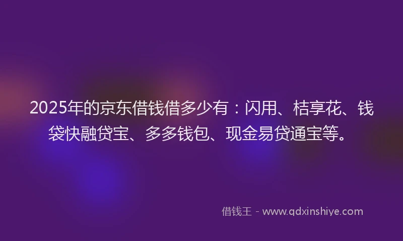2025年的京东借钱借多少有：闪用、桔享花、钱袋快融贷宝、多多钱包、现金易贷通宝等。