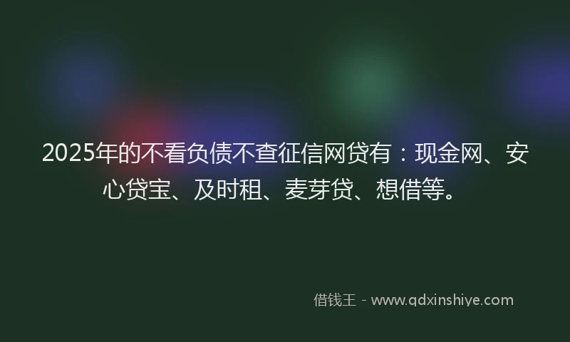 2025年的不看负债不查征信网贷有：现金网、安心贷宝、及时租、麦芽贷、想借等。