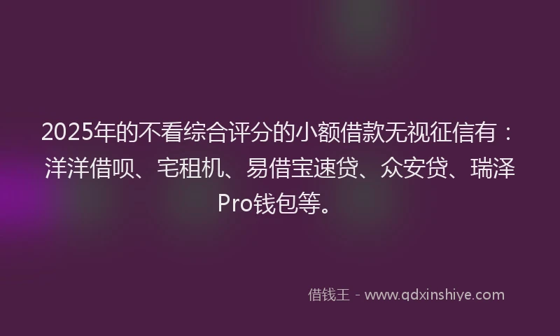 2025年的不看综合评分的小额借款无视征信有：洋洋借呗、宅租机、易借宝速贷、众安贷、瑞泽Pro钱包等。