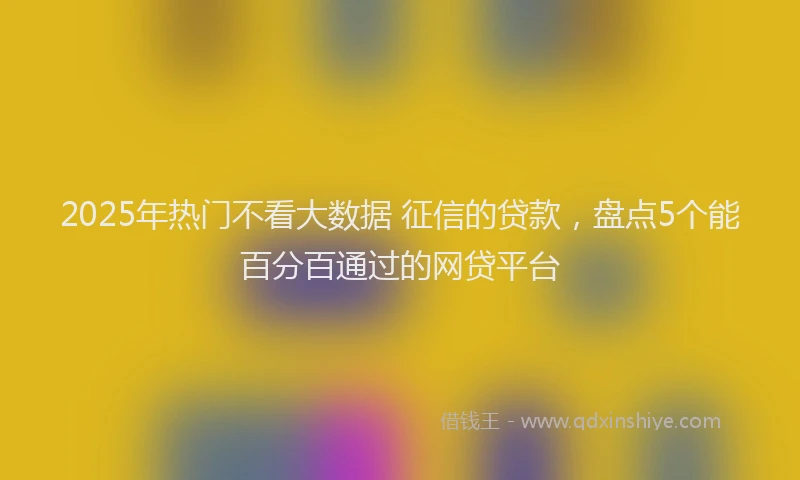 2025年热门不看大数据 征信的贷款，盘点5个能百分百通过的网贷平台