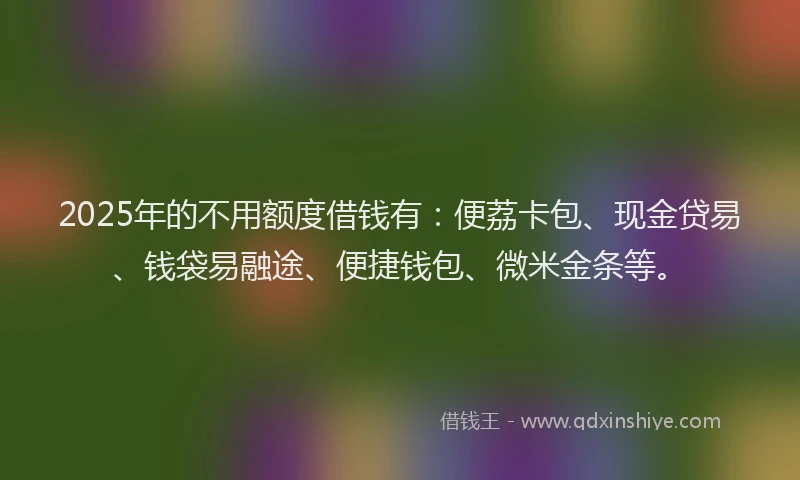 2025年的不用额度借钱有：便荔卡包、现金贷易、钱袋易融途、便捷钱包、微米金条等。
