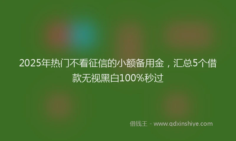 2025年热门不看征信的小额备用金，汇总5个借款无视黑白100%秒过