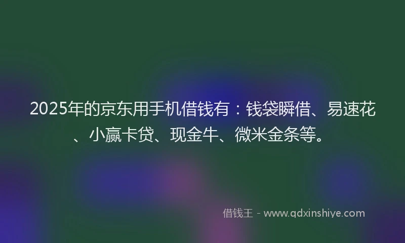 2025年的京东用手机借钱有：钱袋瞬借、易速花、小赢卡贷、现金牛、微米金条等。