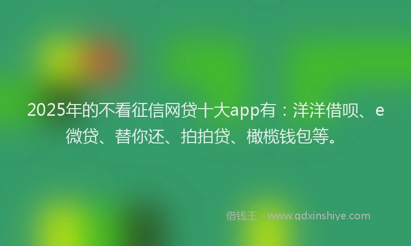 2025年的不看征信网贷十大app有：洋洋借呗、e微贷、替你还、拍拍贷、橄榄钱包等。