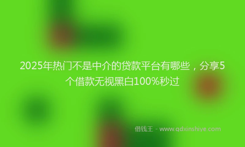 2025年热门不是中介的贷款平台有哪些，分享5个借款无视黑白100%秒过